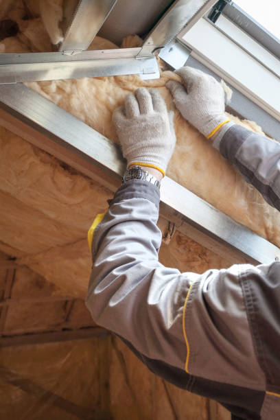 Best Eco-Friendly Insulation in Kansas City, KS